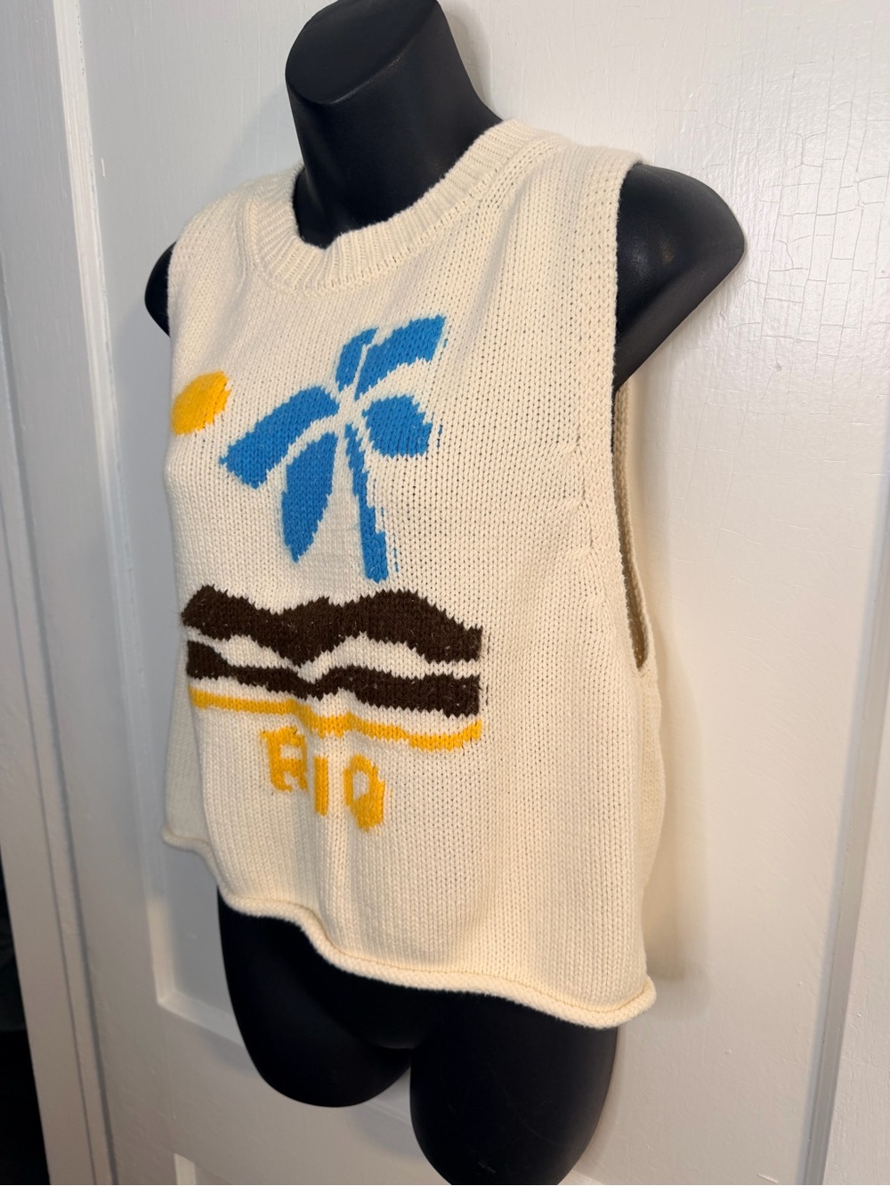 BDG urban outfitters Rio knit sweater tank - Picture 5 of 6
